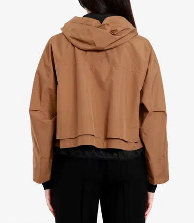 Herno Coats Camel In Brown