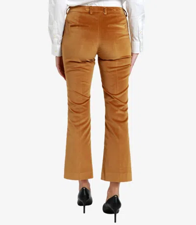 Pt Torino Trousers In Brown