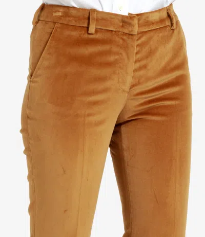 Pt Torino Trousers In Brown