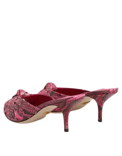 Dolce & Gabbana Pink Exotic Leather Kitten Heels Slides Shoes In Pink