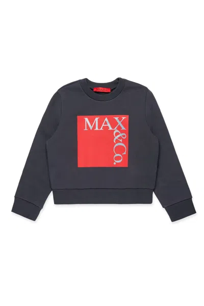 Max & Co Cotton Sweatshirt In Gray