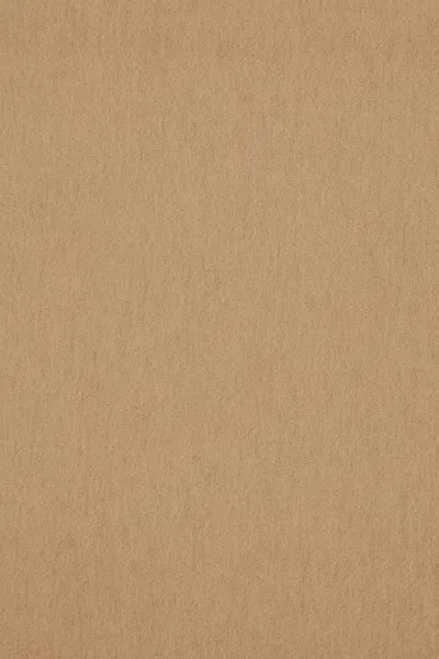 Burberry Cappuccino Cashmere Reversible Scarf In Brown