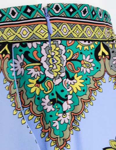 Etro Floral Print Pants In Blue