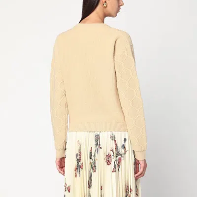 Etro Wool And Cashmere Jumper With Embroidery In Neutral