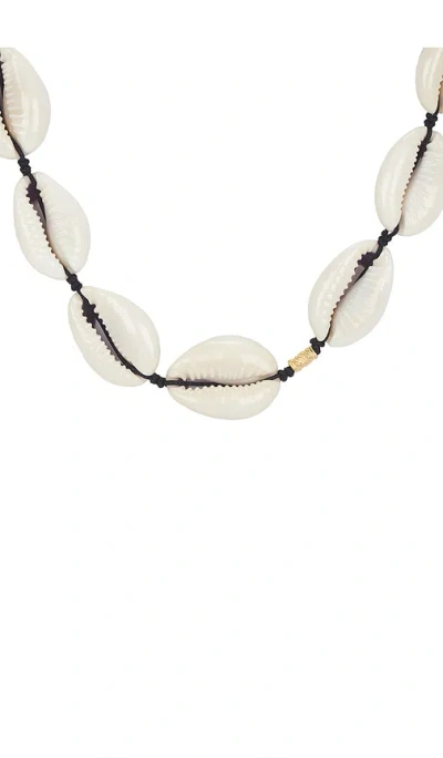 Anni Lu Shelly Necklace In Multi