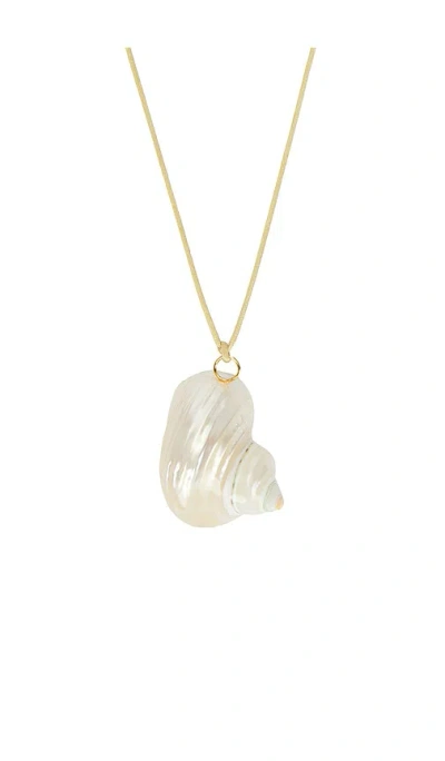 Anni Lu Shell On A String Necklace In Gold