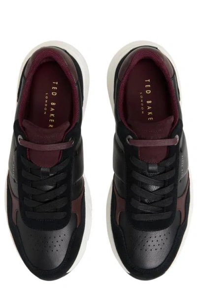 Ted Baker Keston Sneaker In Black