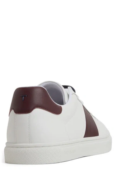 Ted Baker Men's Bradley Lace Up Sneakers In White