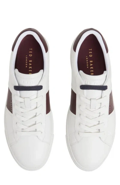 Ted Baker Men's Bradley Lace Up Sneakers In White