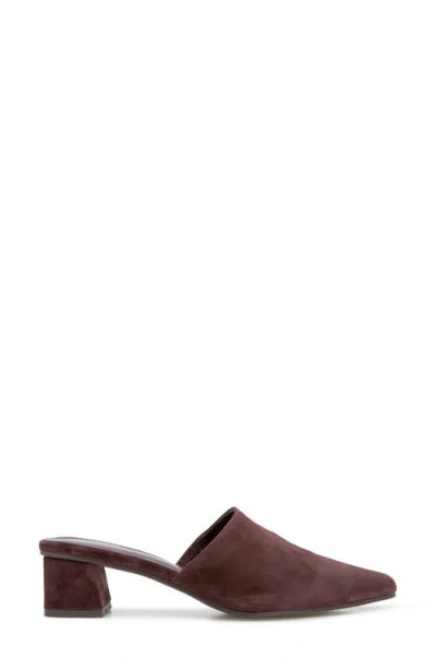 Splendid Lorelei Mule In Burgundy
