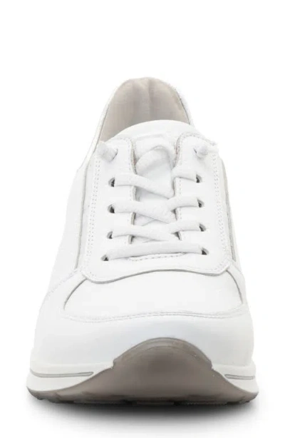 Ara Ovation Sneaker In White