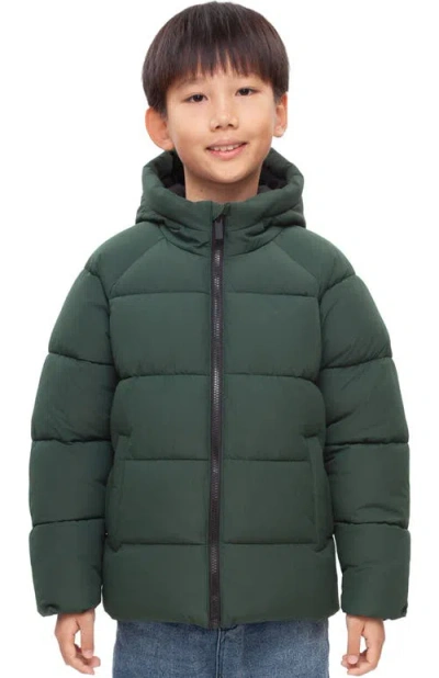 Rokka&rolla Kids' Shield Puffer Jacket In Green