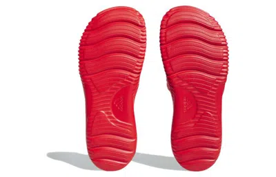 Adidas Originals Adidas Alphabounce Slides 'red'
