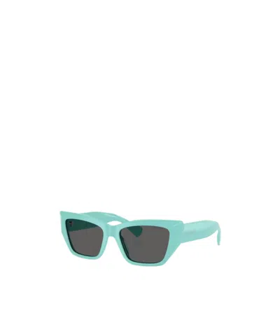 Tiffany & Co Cat-eye Frame Sunglasses In Blue