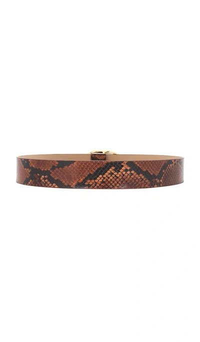 B-low The Belt Kyra Python Belt In Brown