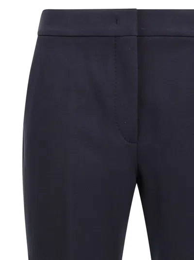 Max Mara Stretched Pleat Trousers In Blue