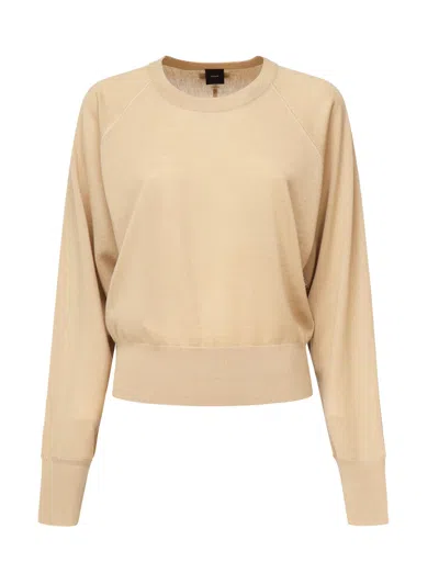 Pinko Long-sleeved Crew-neck Sweater In Brown