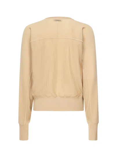 Pinko Long-sleeved Crew-neck Sweater In Brown