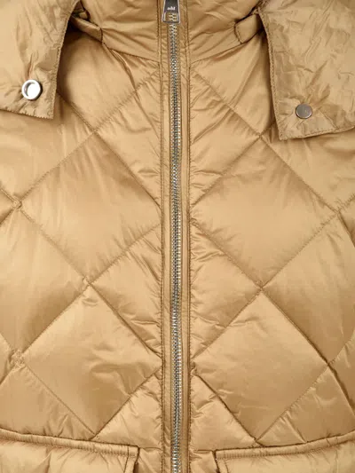Add Coats In Brown