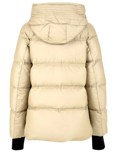 Add Coats In Brown