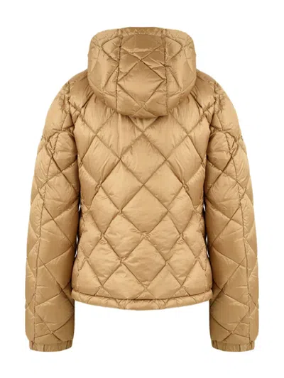 Add Coats In Brown