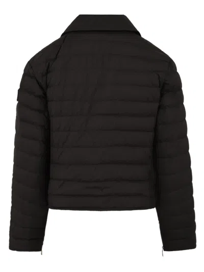 Add Coats Black In Black