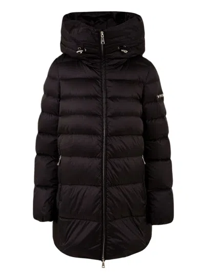 Add Coats Black In Brown