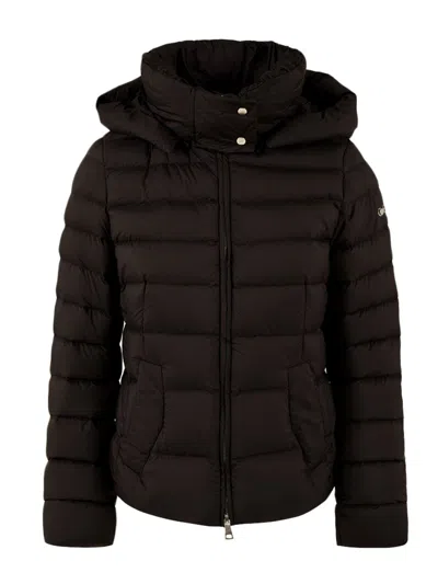 Add Coats Black In Black