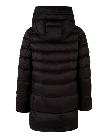 Add Coats Black In Brown