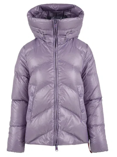 After Label Coats Purple In Gold