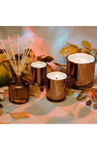Apotheke Pumpkin Ginger Petite Scented Candle In Brown