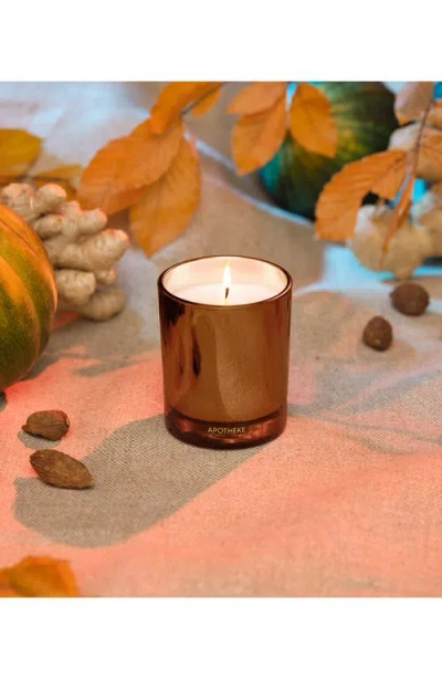 Apotheke Pumpkin Ginger Petite Scented Candle In Brown