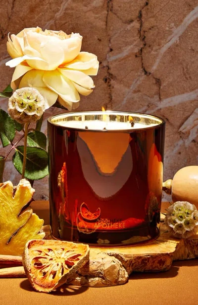 Apotheke Pumpkin Ginger Three-wick Scented Candle In Brown