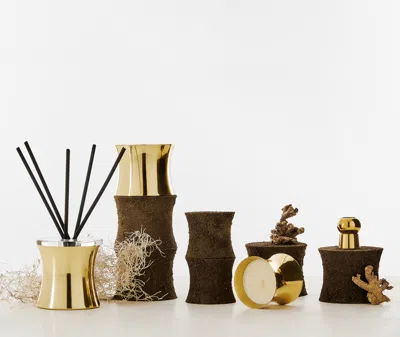 Tom Dixon Root Candle Holder In Brass