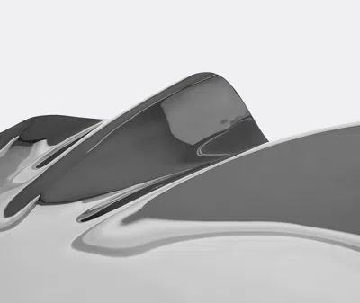 Zaha Hadid Design Decorative Objects Silver 2 In Silver