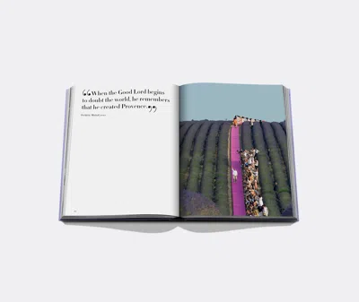 Assouline Provencal Spl In Purple