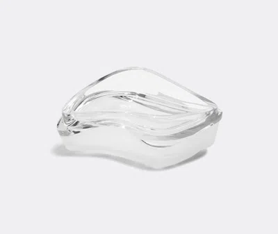 Zaha Hadid Design Decorative Objects Clear 2 In Clear