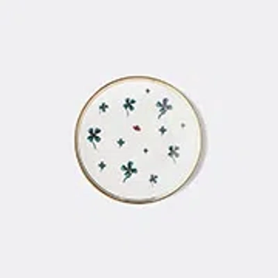 Bitossi Home 6 Piece Clover And Ladybird Plate Set In Multicolor