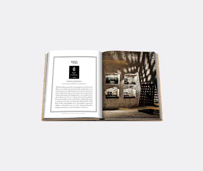 Assouline The Impossible Collection Of Champagne Hardcover Book In Brown
