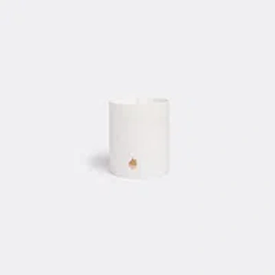 L'objet Haas Mojave Palm Candle In White Biscuit
