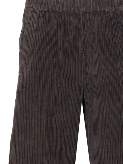 True Avenue Elasticated-waist Corduroy Trousers In Brown