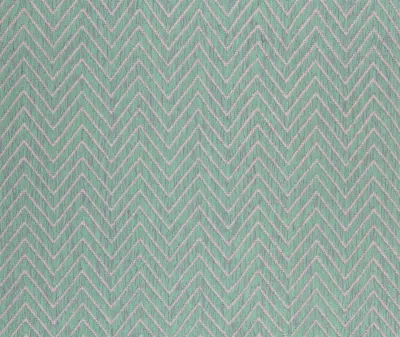 Cc-tapis Rugs Mint Uni In Mint