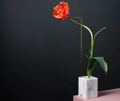 Bloc Studios Vases White Uni In White