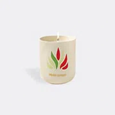 Assouline Tulum Gypset Travel From Home Candle White In Green