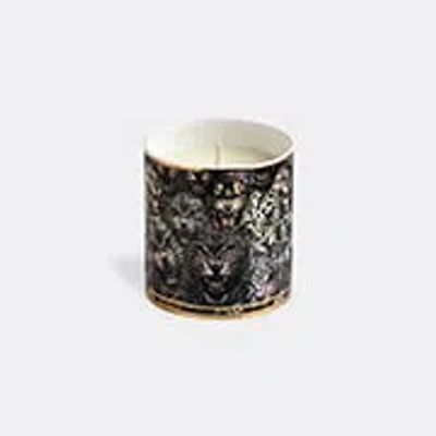 Roberto Cavalli Home Candlelight And Scents Multicolor Uni In Multicolor