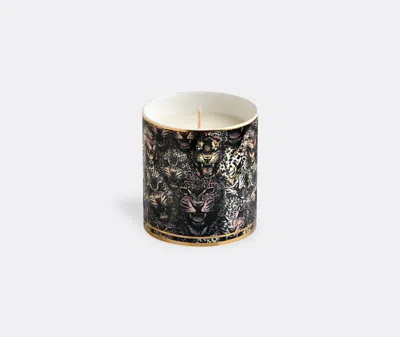 Roberto Cavalli Home Candlelight And Scents Multicolor Uni In Multicolor