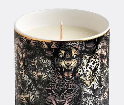 Roberto Cavalli Home Candlelight And Scents Multicolor Uni In Multicolor