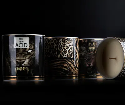 Roberto Cavalli Home Candlelight And Scents Multicolor Uni In Multicolor