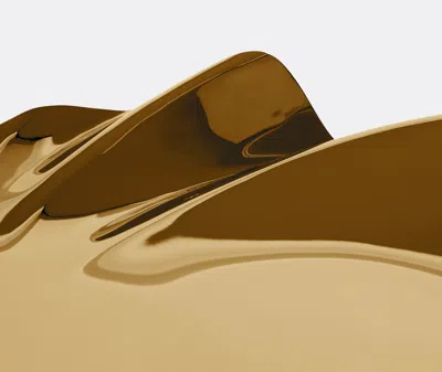 Zaha Hadid Design Decorative Objects Gold Uni In Gold