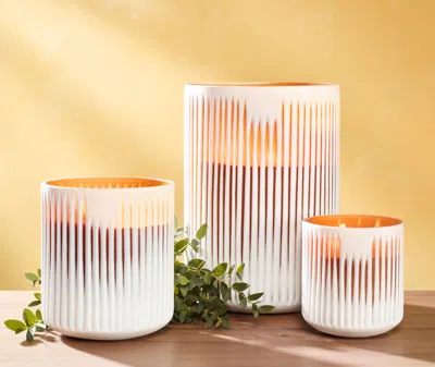 Onno Collection Candlelight And Scents White Uni In White